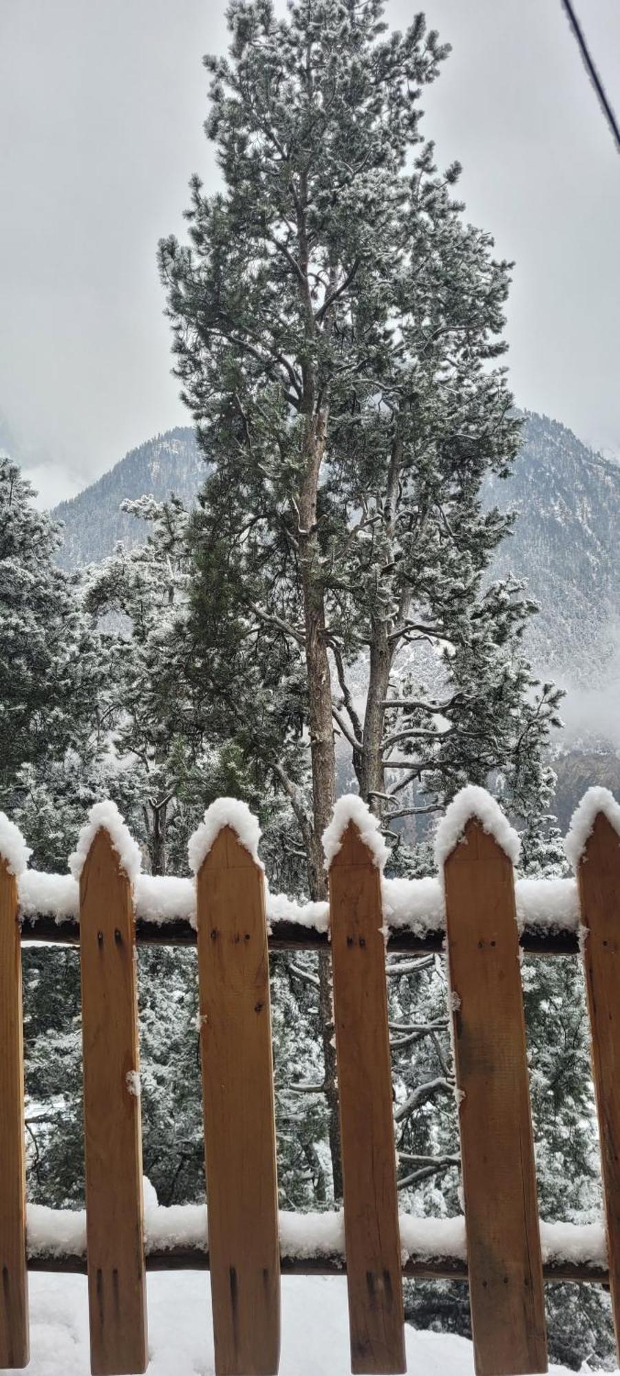 Rudra Homestays Kalpa Exteriör bild